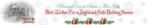 Holiday Gift & Decorating Ideas